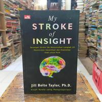 My Stroke Of Insight