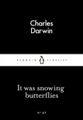 It was snowing butterflies
