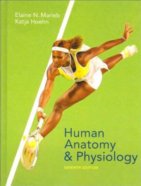 Human Anatomy And Physiology Seventh Edition