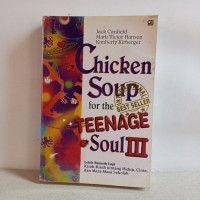 Chicken Soup For The Teenage Soul III