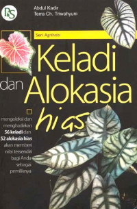 Keladi Dan Alokasia Hias