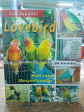 Lovebird Hobi Yang Menguntungkan