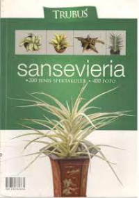 Sansevieria