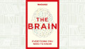 The Brain
