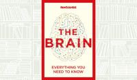 The Brain