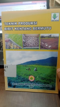 Teknik Produksi Bibit Kentang Bermutu