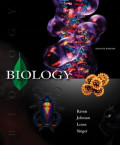 Biology: Seventh Edition