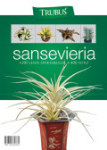 Sansevieria: 200 Jenis Spektakuler, 400 Foto