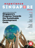 experience singapore issue 80 voluntary national review 2023: